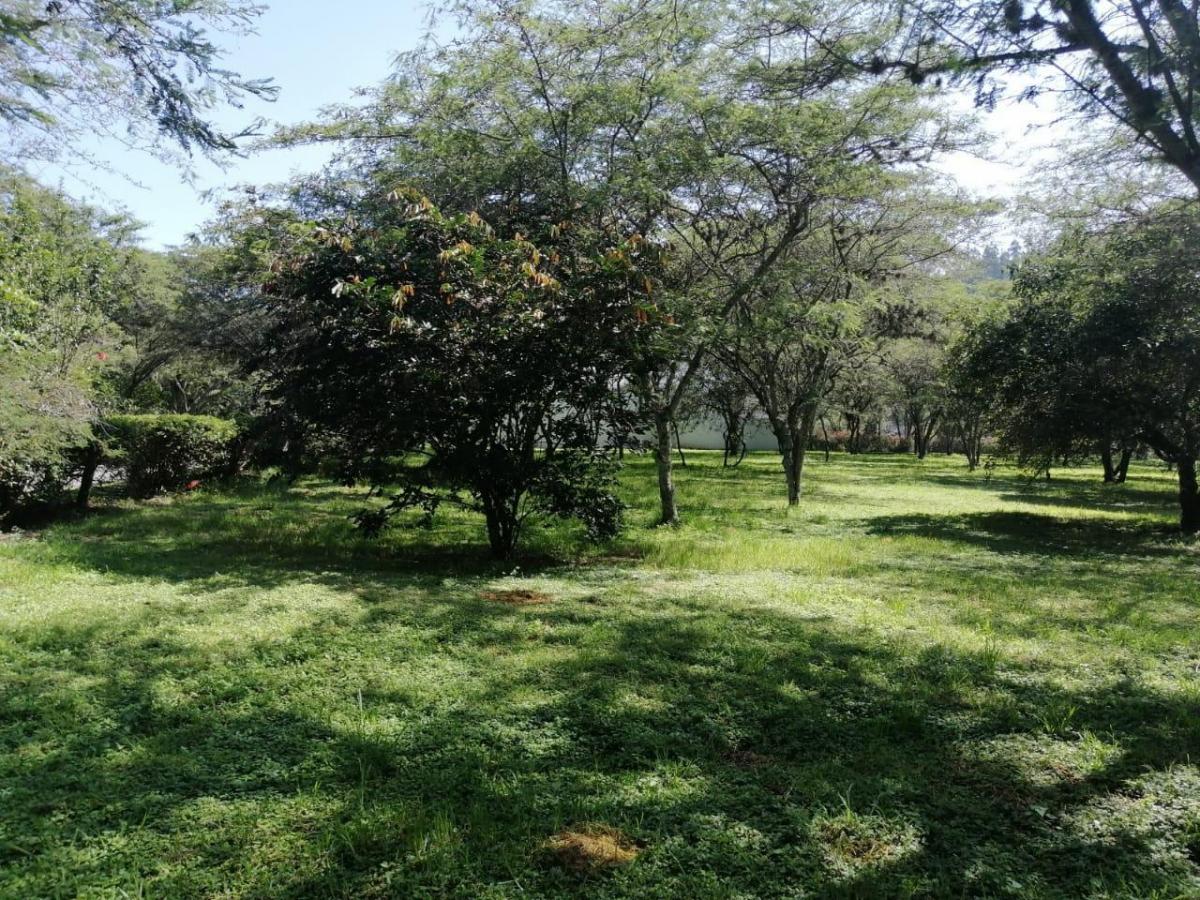 Venta en Cumbayá en Pillahua Terreno Plano y Dentro de Urbanización de Primera — imagen 6