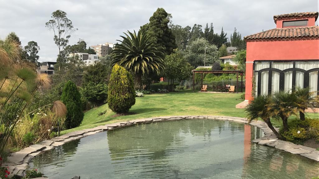 Vendo Hermosa Casa - Campo Alegre — imagen 10