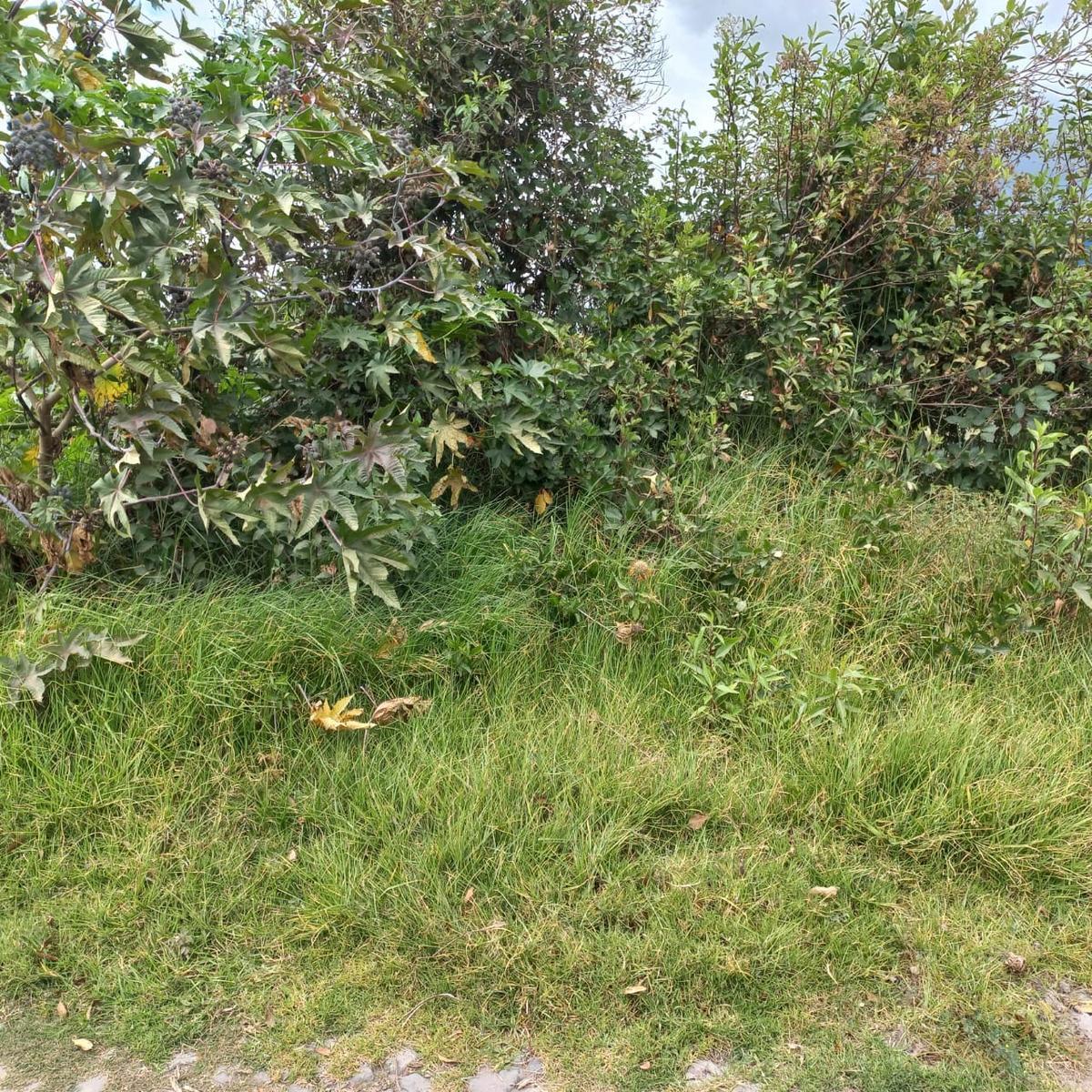 Terreno en Atuntaqui, Imbabura — imagen 2