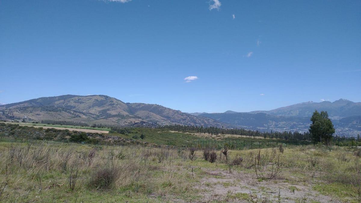 Terrenos en La Recta de Puembo a Pifo a Unos 350 m de La Interoceanica — imagen 10