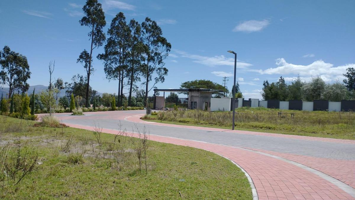 Terrenos en La Recta de Puembo a Pifo a Unos 350 m de La Interoceanica — imagen 7