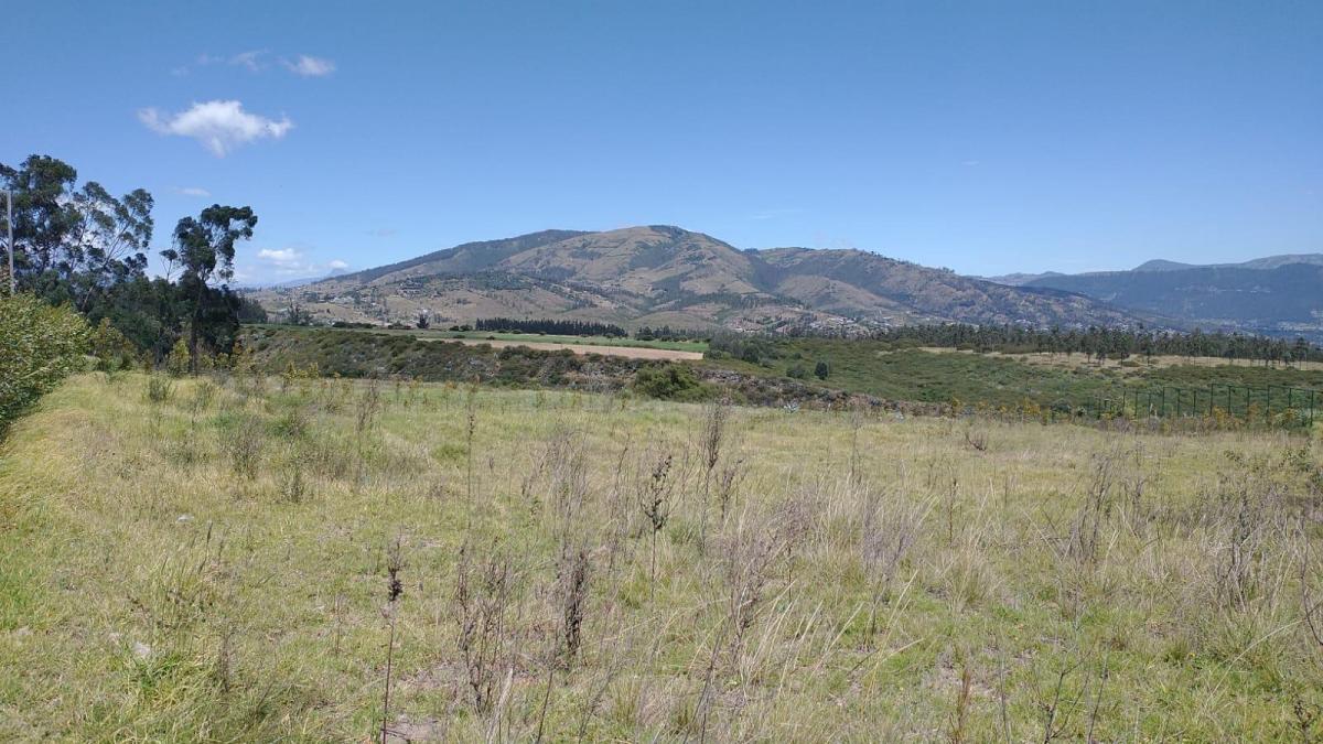 Terrenos en La Recta de Puembo a Pifo a Unos 350 m de La Interoceanica — imagen 6