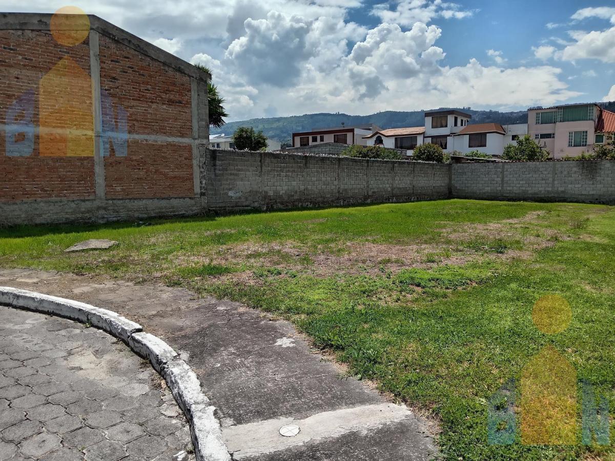 Terreno en La Armenia — imagen 10