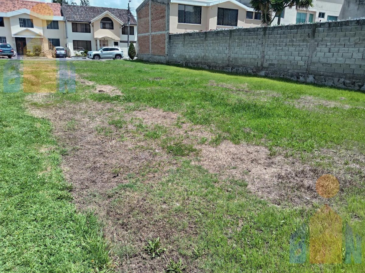 Terreno en La Armenia — imagen 9