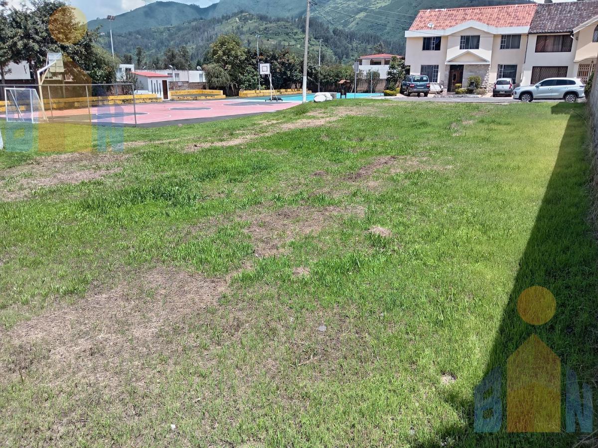 Terreno en La Armenia — imagen 8