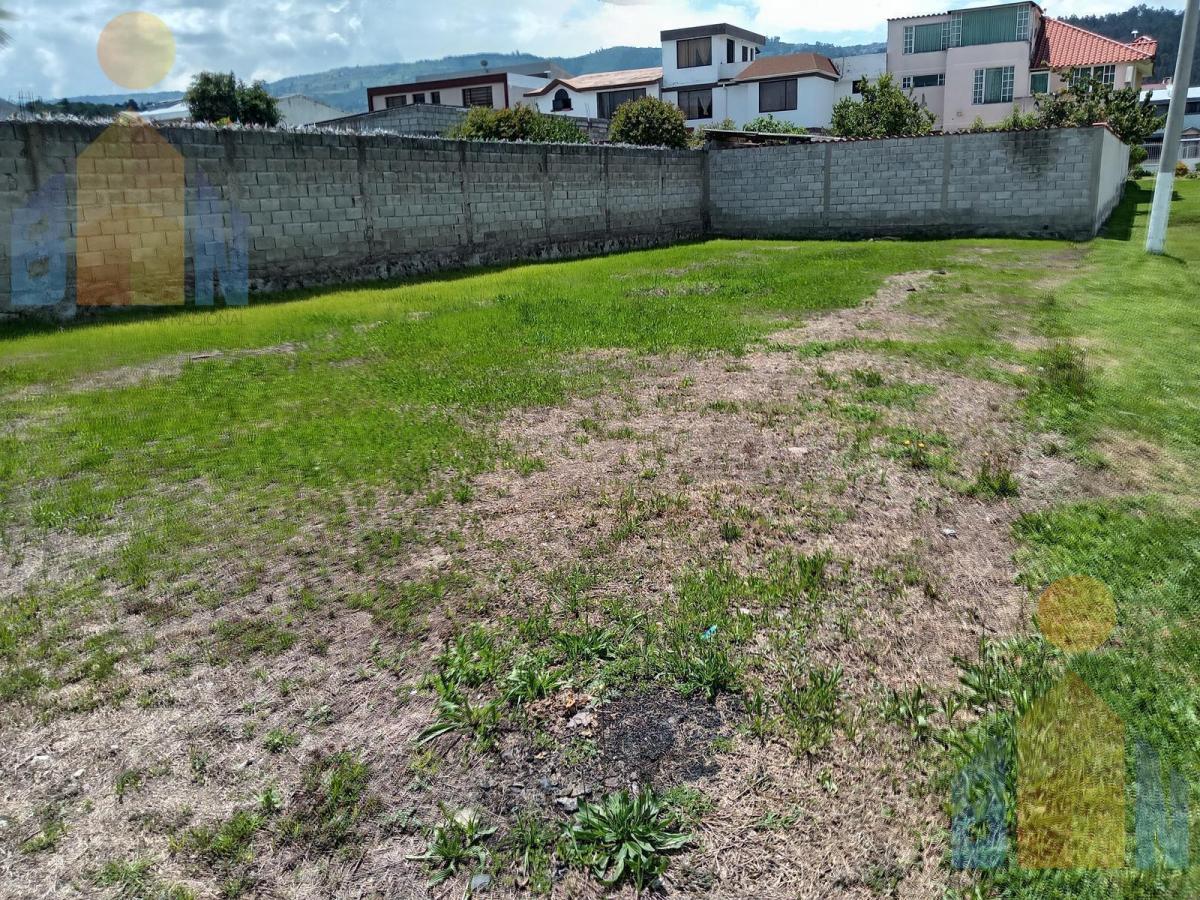 Terreno en La Armenia — imagen 7