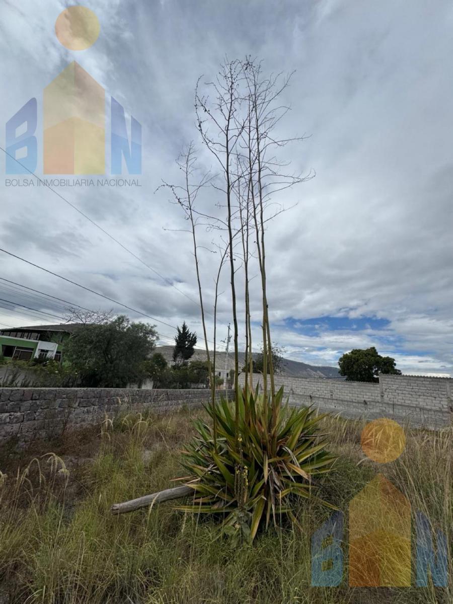 Terreno en Venta San Antonio de Pichincha — imagen 8