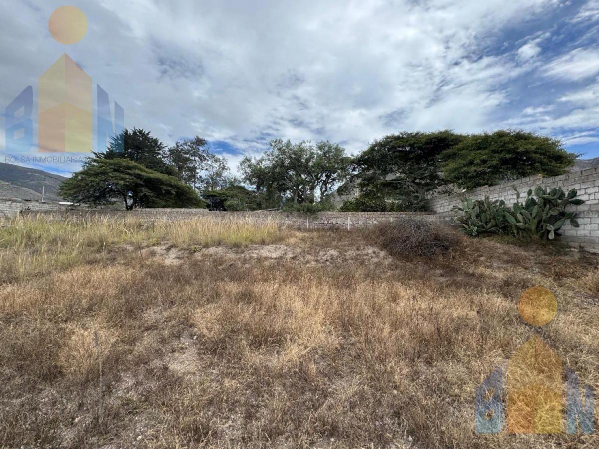 Terreno en Venta San Antonio de Pichincha — imagen 7
