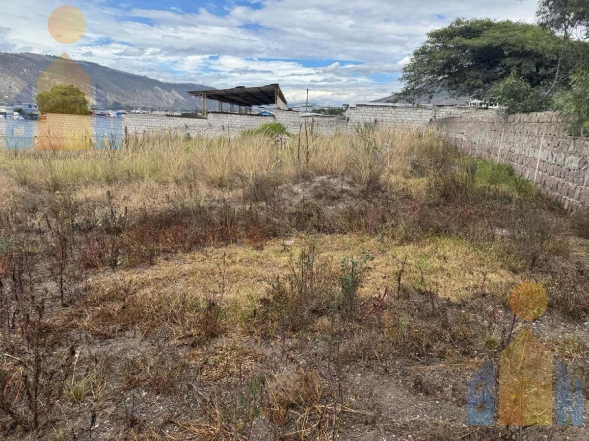 Terreno en Venta San Antonio de Pichincha — imagen 4