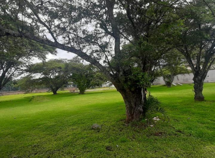 Venta Terreno en Tumbaco Sector La Viña Inf. Cbr Carla del Pino — imagen 2