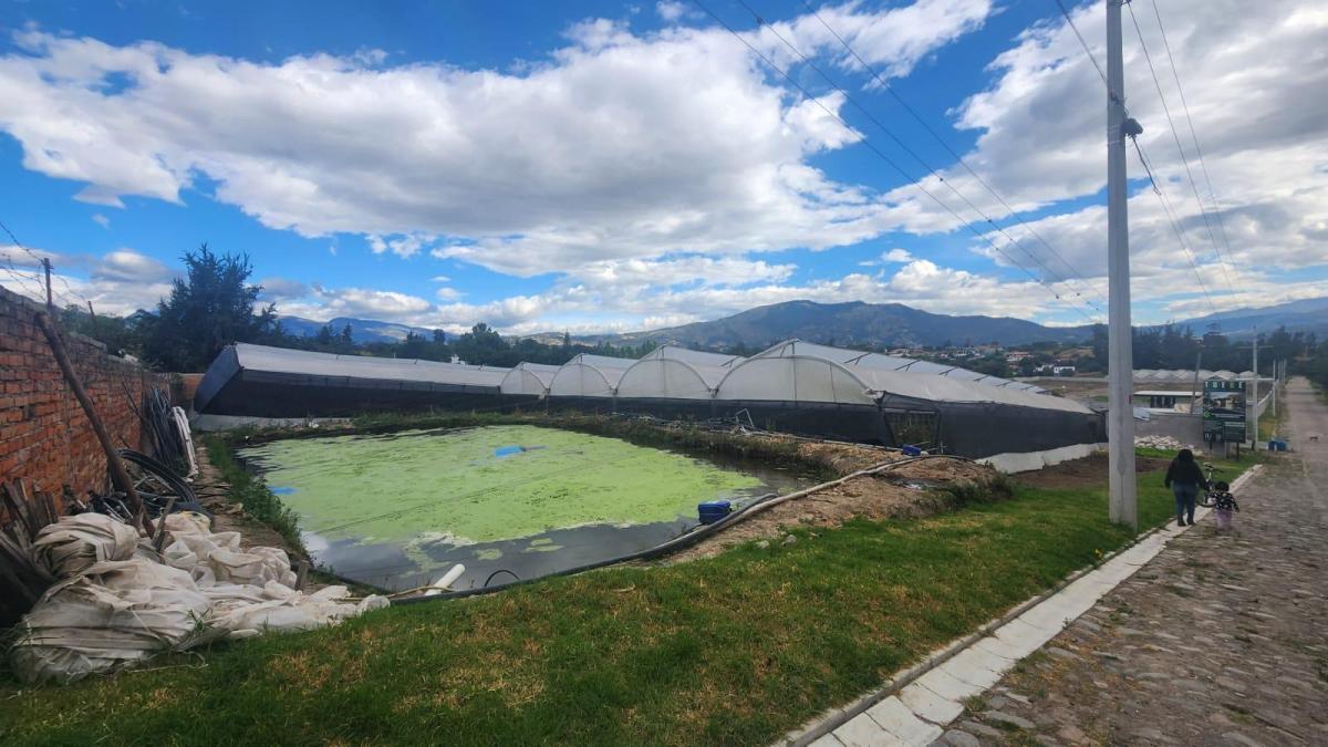 Terreno de Venta de Tumbaco, Sector Buena Esperanza — imagen 8