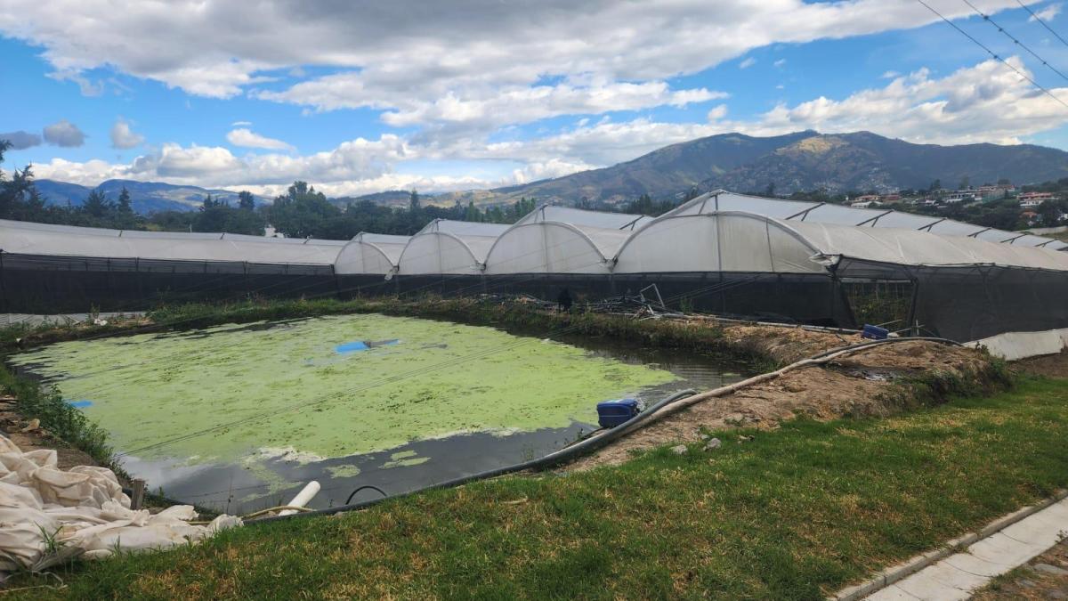 Terreno de Venta de Tumbaco, Sector Buena Esperanza — imagen 7