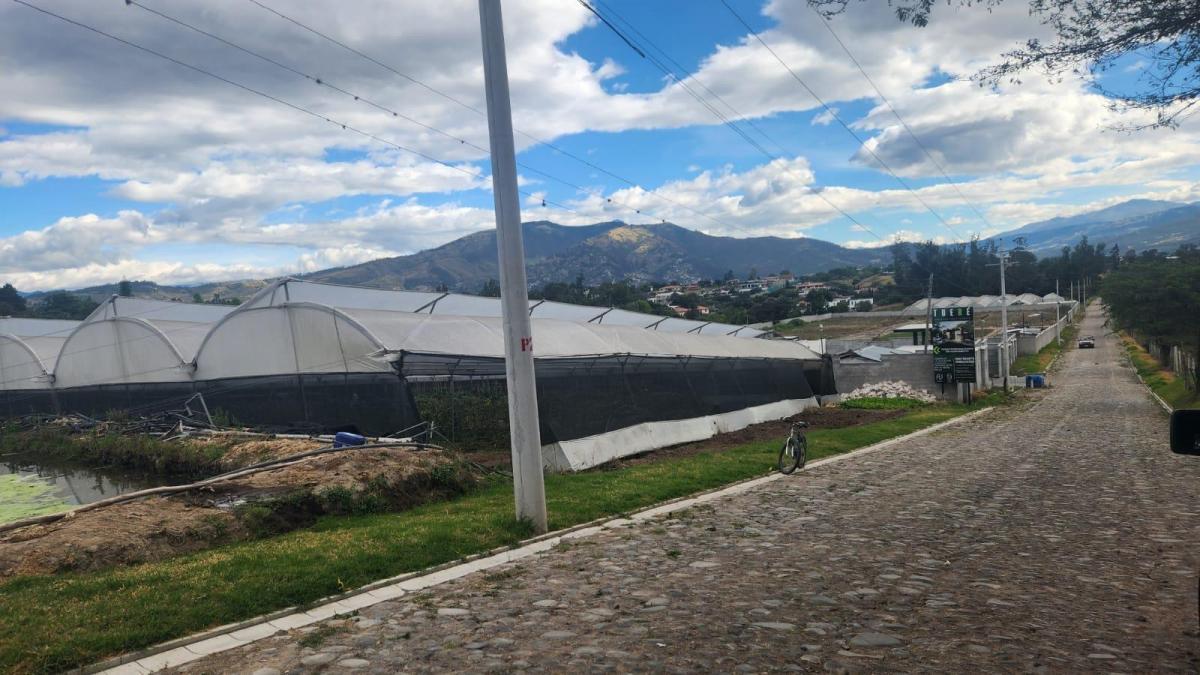 Terreno de Venta de Tumbaco, Sector Buena Esperanza — imagen 6