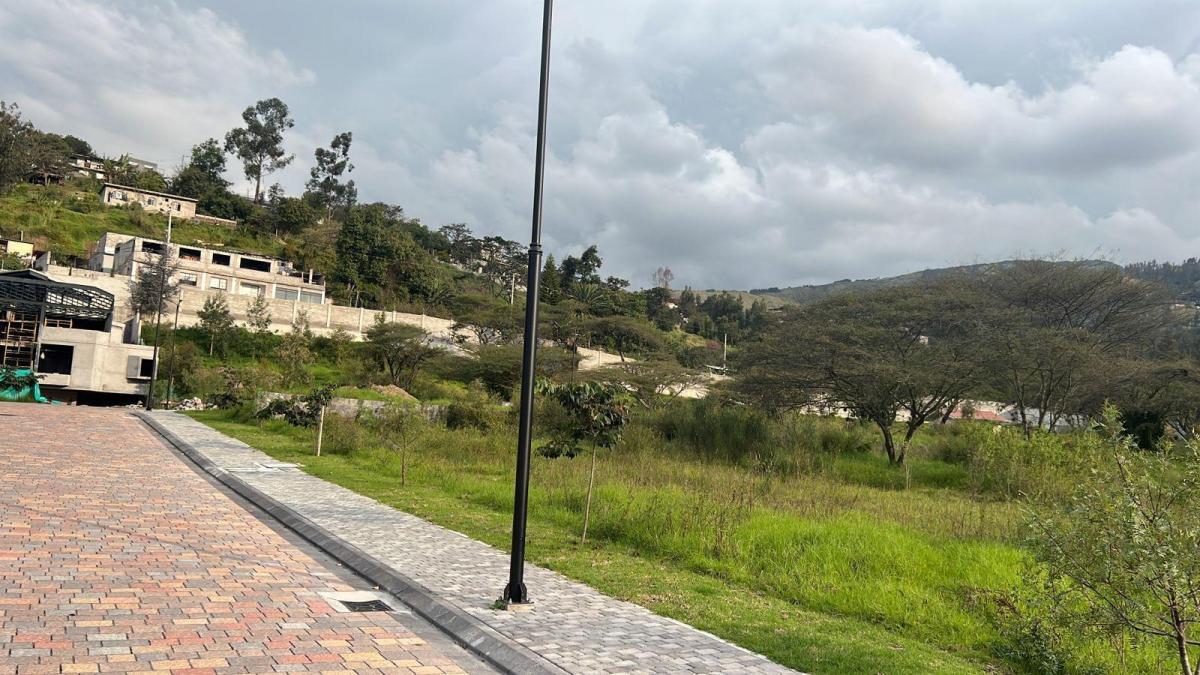 Venta Terreno Tumbaco (Cerca Ruta Viva) — imagen 5