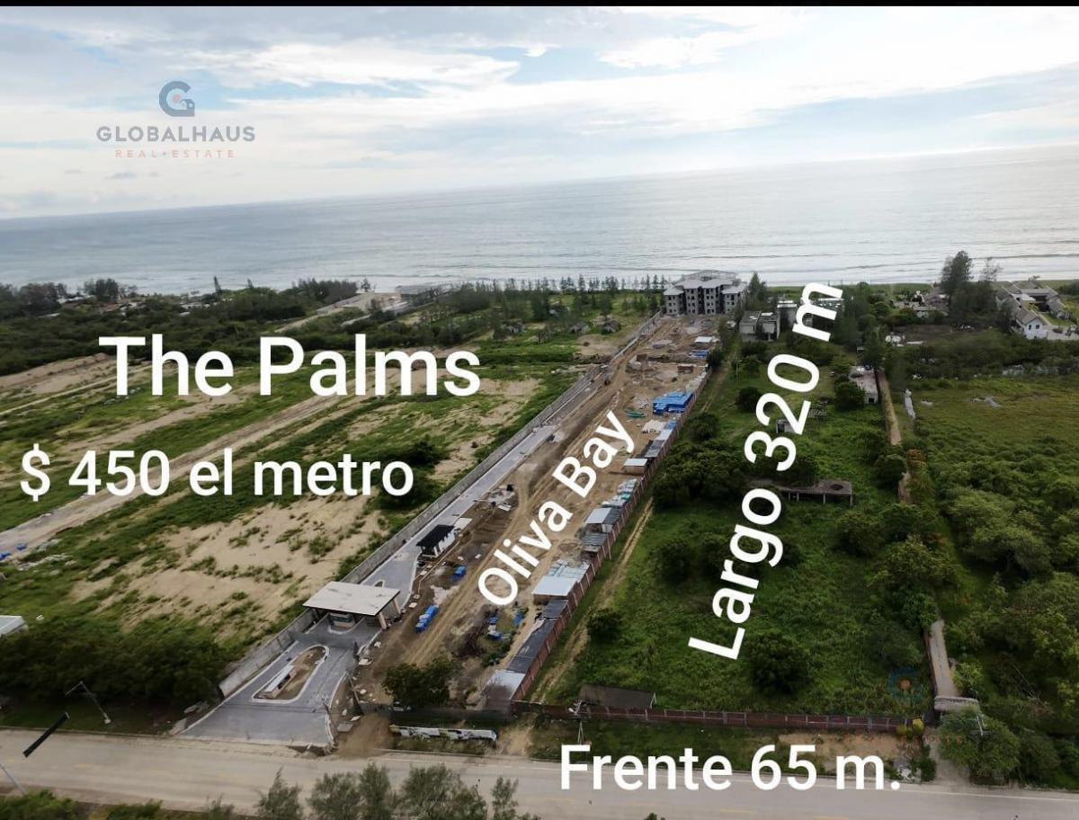 Venta Terreno en Olón Para Proyectos Turísticos Santa Elena, P. C. Provincia de Santa Elena — imagen 2
