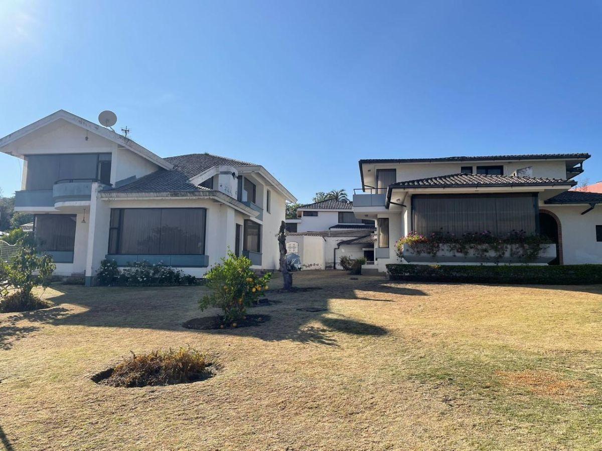 Terreno Plano de Venta 5260 m² La Viña — imagen 7