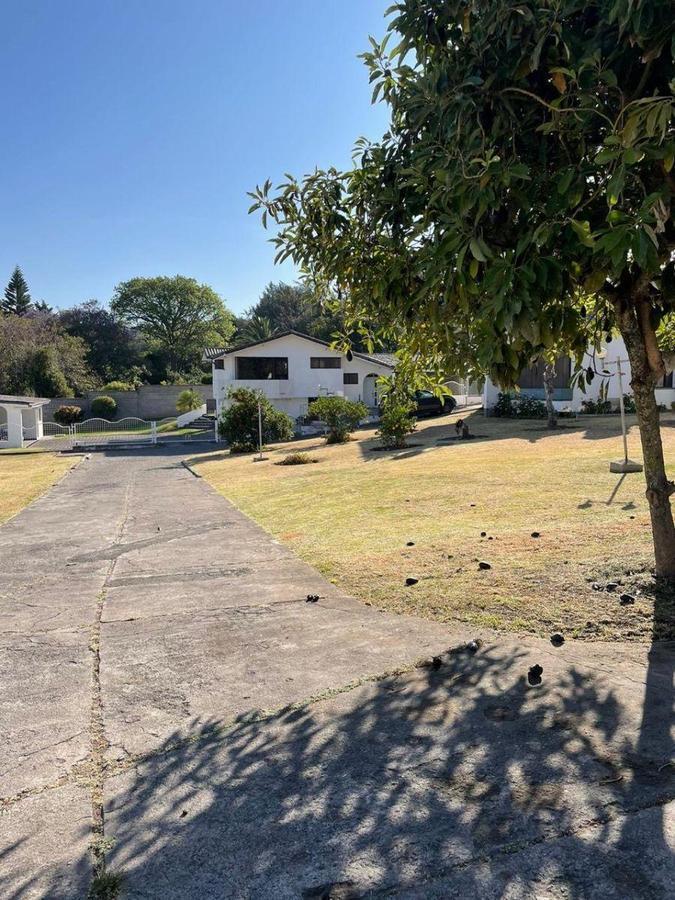 Terreno Plano de Venta 5260 m² La Viña — imagen 2
