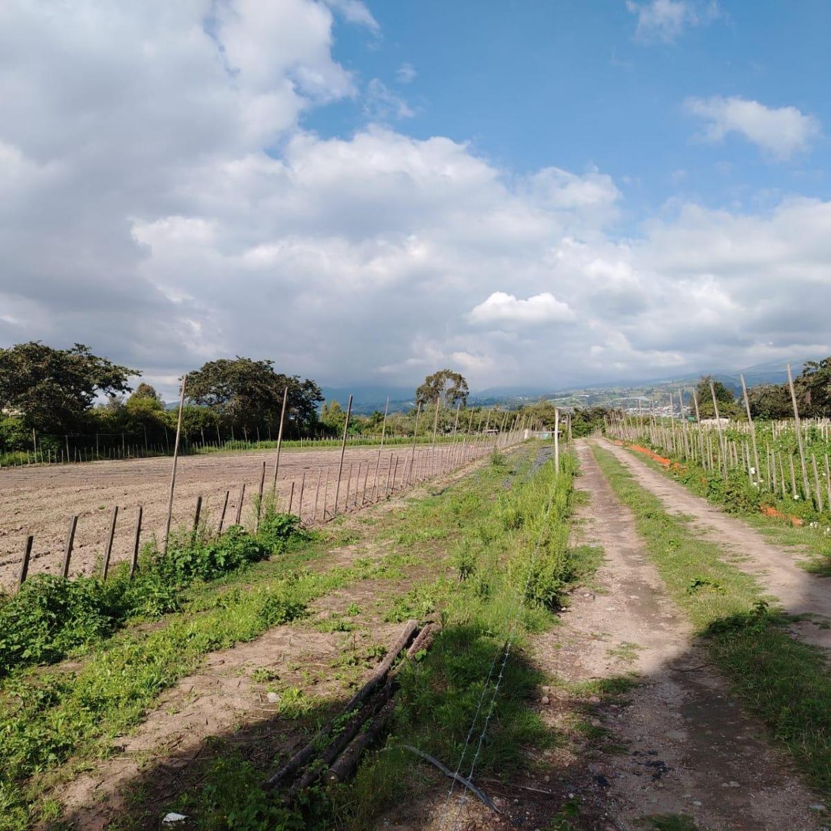 Venta de Terreno Plano en Tablabela Altura del Redondel Al Aeropuerto. Provincia de Pichincha — imagen 9