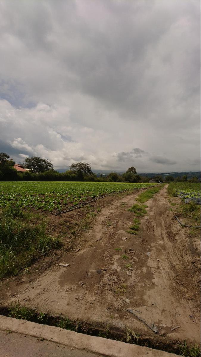 Venta de Terreno Plano en Tablabela Altura del Redondel Al Aeropuerto. Provincia de Pichincha — imagen 8