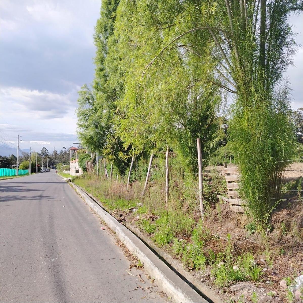 Venta de Terreno Plano en Tablabela Altura del Redondel Al Aeropuerto. Provincia de Pichincha — imagen 6