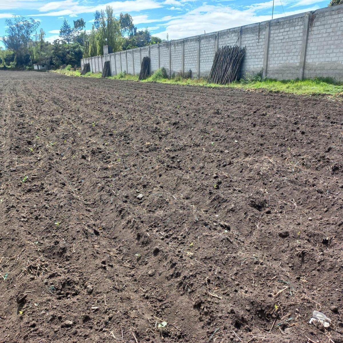 Terreno en Atuntaqui, Imbabura — imagen 4