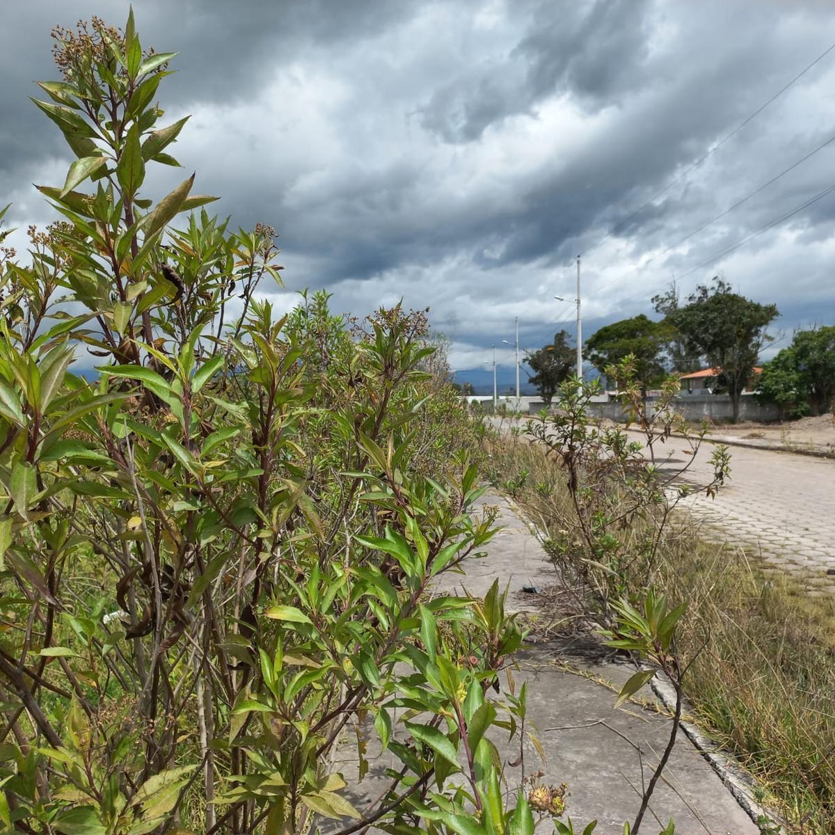 Terreno en Atuntaqui, Imbabura — imagen 2
