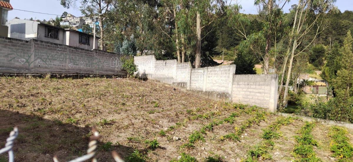 Terreno en Venta Sector Peaje Barrio Buenos Aires — imagen 10