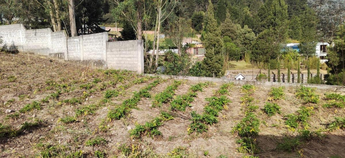 Terreno en Venta Sector Peaje Barrio Buenos Aires — imagen 9