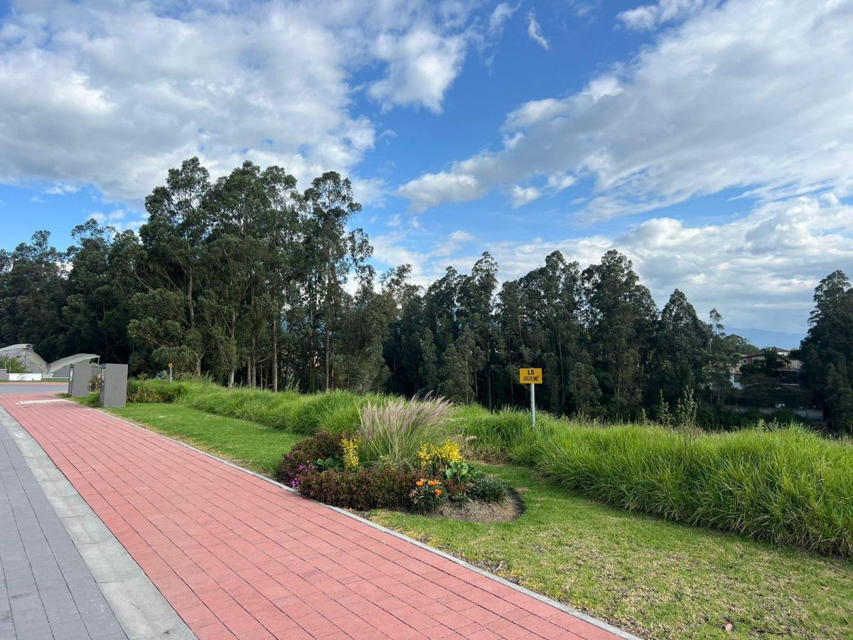 Mv - Sector Pifo, en Venta Lote de Terreno 2528.45 m², Dentro de Urbanizacion — imagen 10