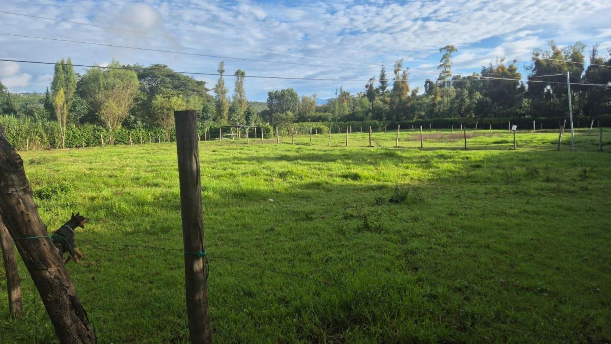 Terrenos Ideales Para Quinta a Solo 10 Minutos de Ibarra, Atuntaqui y Urcuquí, Imbabura — imagen 9