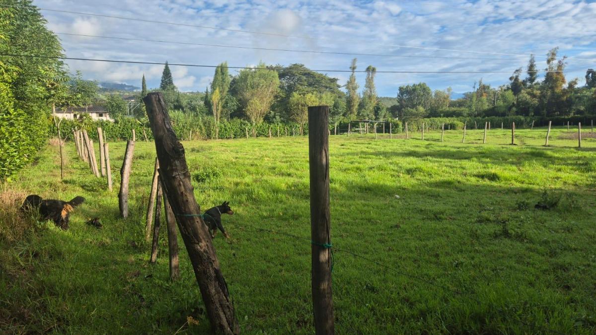Terrenos Ideales Para Quinta a Solo 10 Minutos de Ibarra, Atuntaqui y Urcuquí, Imbabura — imagen 7