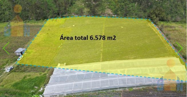 Venta de Terreno 6.578 m², Tababela, Cerca Al Parque Central. Provincia de Pichincha — imagen 9