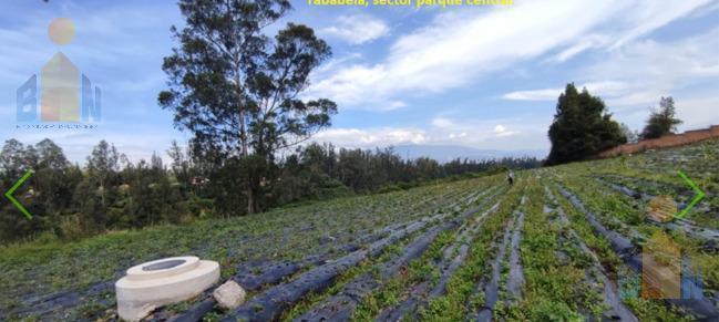 Venta de Terreno 6.578 m², Tababela, Cerca Al Parque Central. Provincia de Pichincha — imagen 6