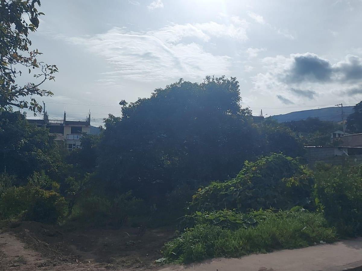 Terreno - en Venta - Patate - 890 m², Tungurahua — imagen 5