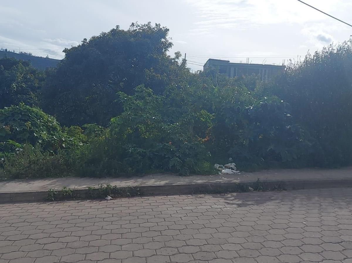 Terreno - en Venta - Patate - 890 m², Tungurahua — imagen 3