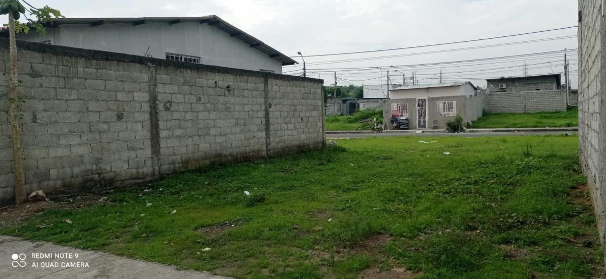 Terreno en Venta Programa Habitacional Mi Lote, Elic, Guayas — imagen 4