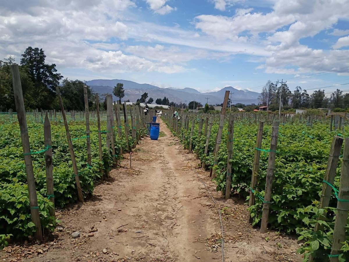 Terreno Entre El Quinche y Guayllabamba — imagen 8