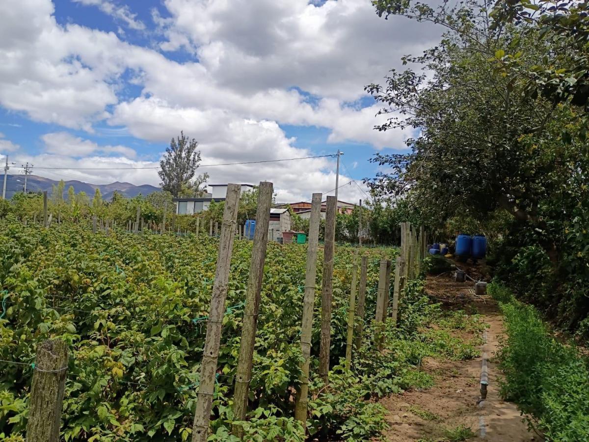Terreno Entre El Quinche y Guayllabamba — imagen 7