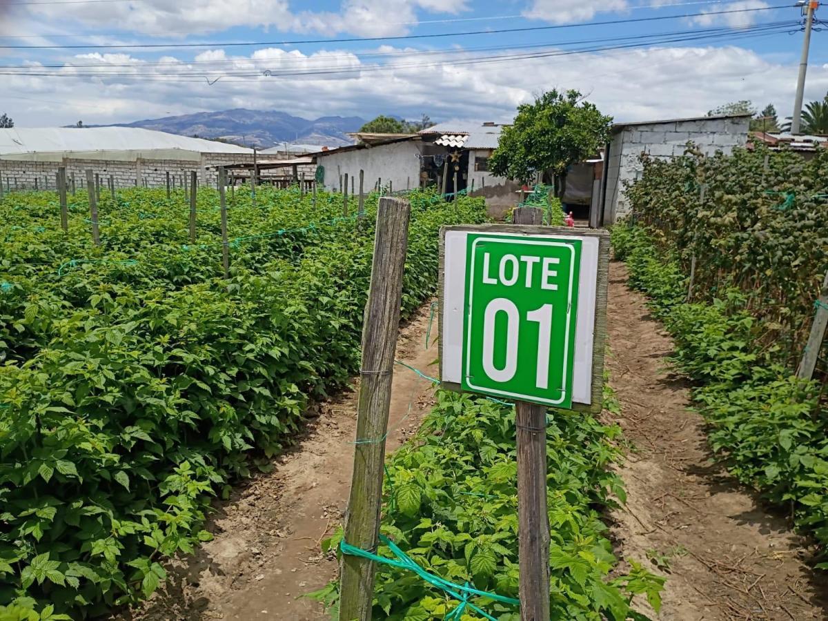 Terreno Entre El Quinche y Guayllabamba — imagen 6
