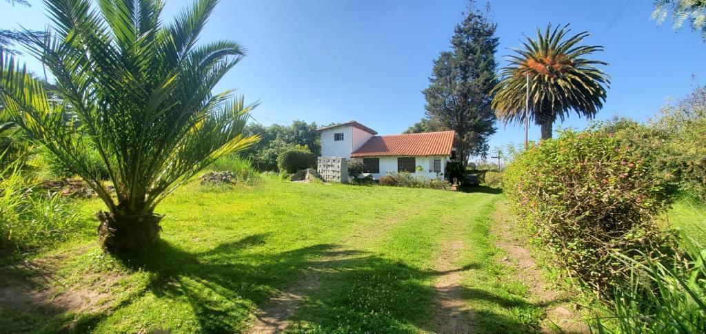 Venta de Terreno en Tababela, Esquinero Cerca de Vías Principales — imagen 7