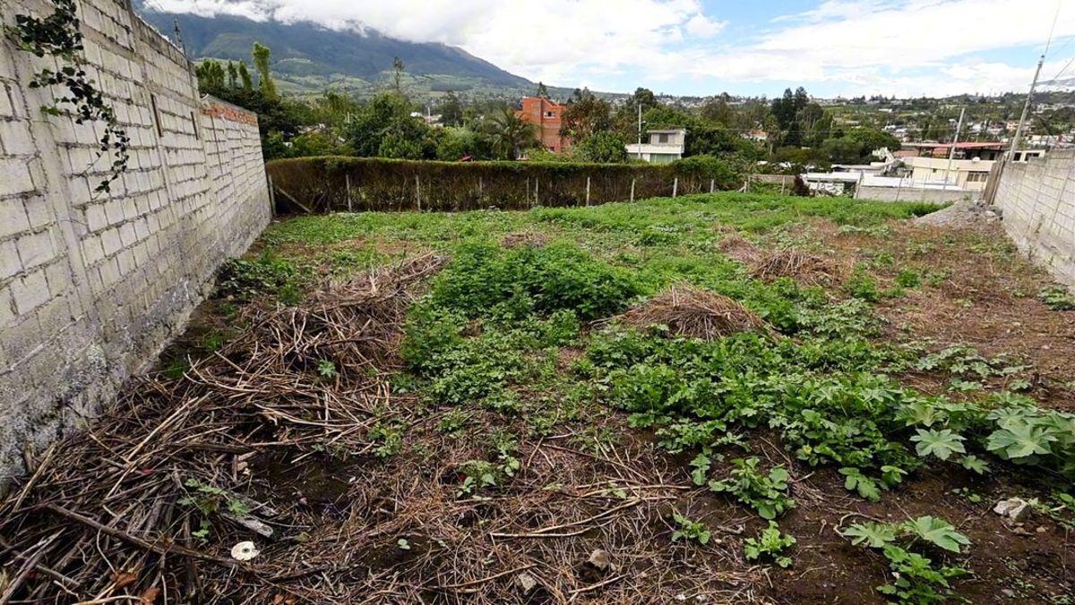 Lote en Venta – Sector La Florida, Imbabura — imagen 4