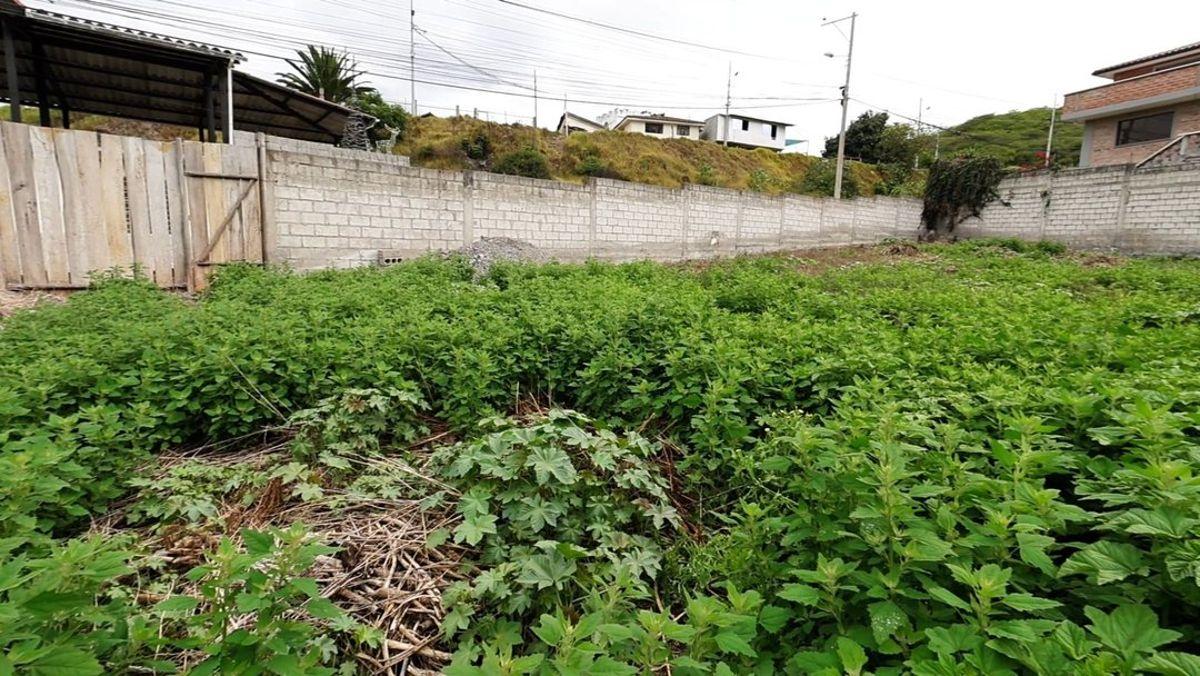 Lote en Venta – Sector La Florida, Imbabura — imagen 3