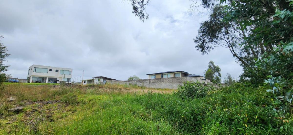 Terreno en Venta Al Norte de Quitó Llano Chico — imagen 8
