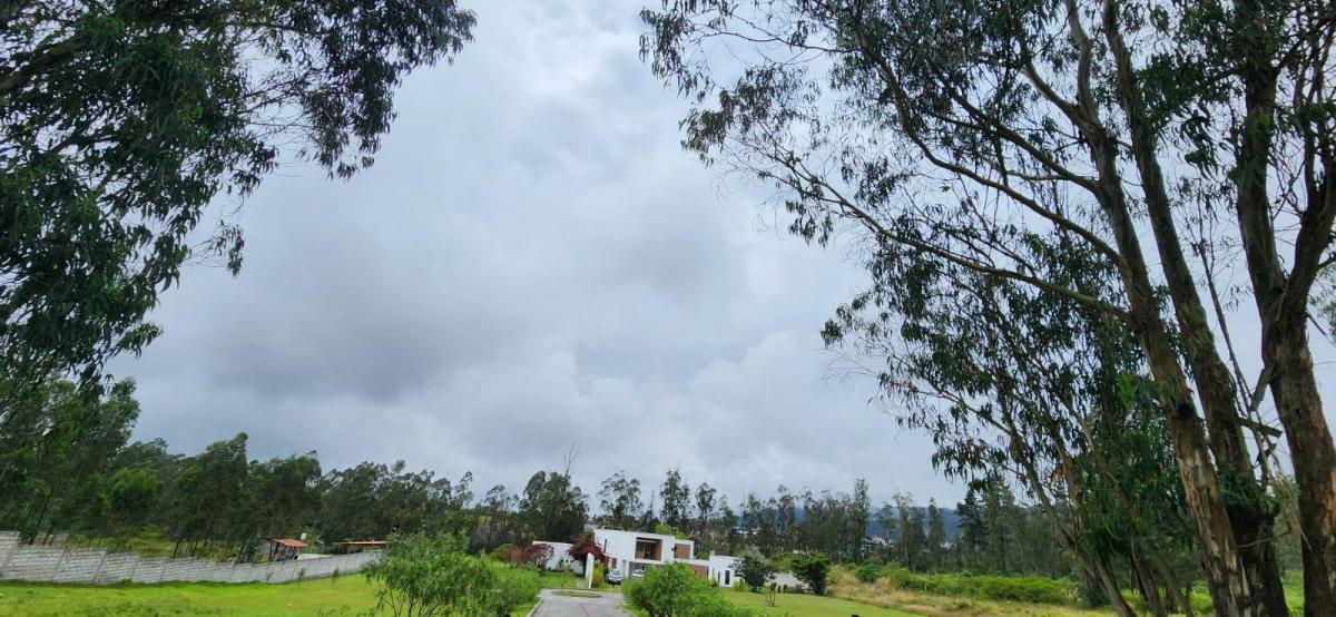 Terreno en Venta Al Norte de Quitó Llano Chico — imagen 7