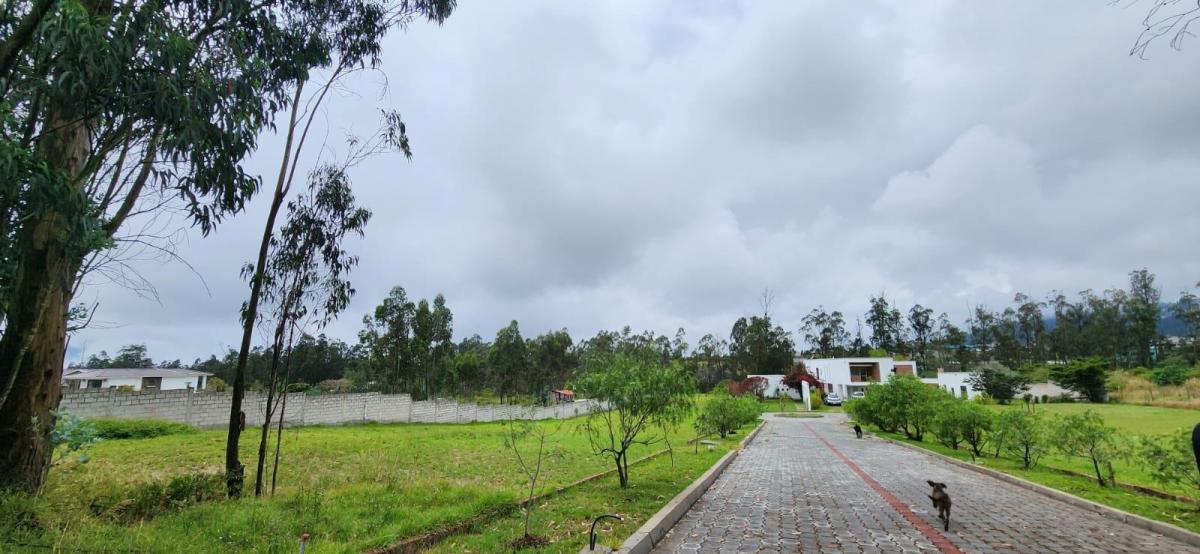 Terreno en Venta Al Norte de Quitó Llano Chico — imagen 6