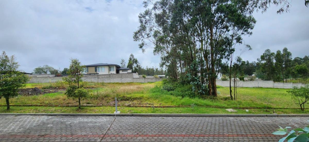 Terreno en Venta Al Norte de Quitó Llano Chico — imagen 3