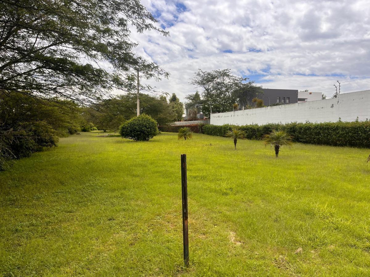 Terreno de Venta en Puembo en Urbanización Via Arrayanes — imagen 10
