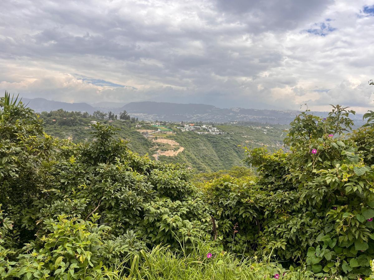 Terreno de Venta en Puembo en Urbanización Via Arrayanes — imagen 9
