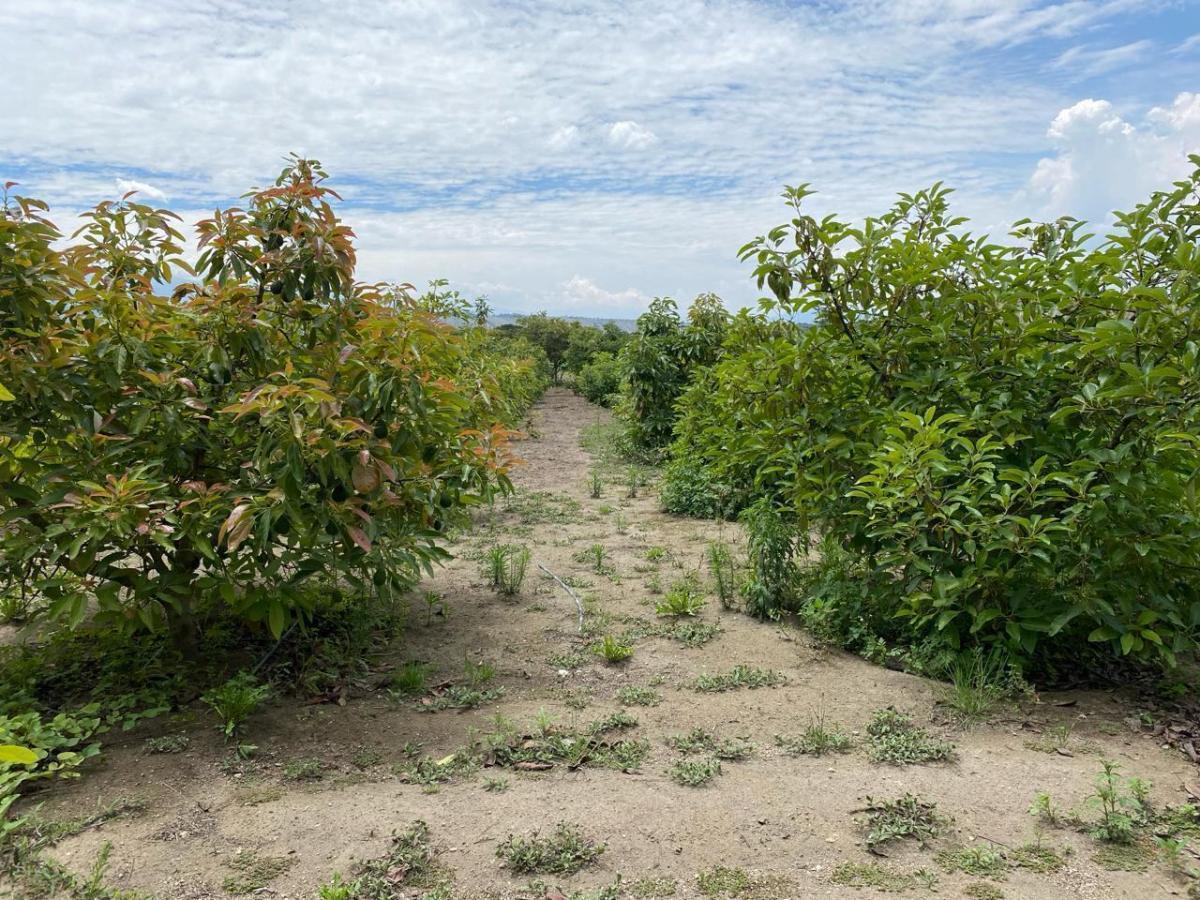 Venta Terreno en Guayllabamba — imagen 7