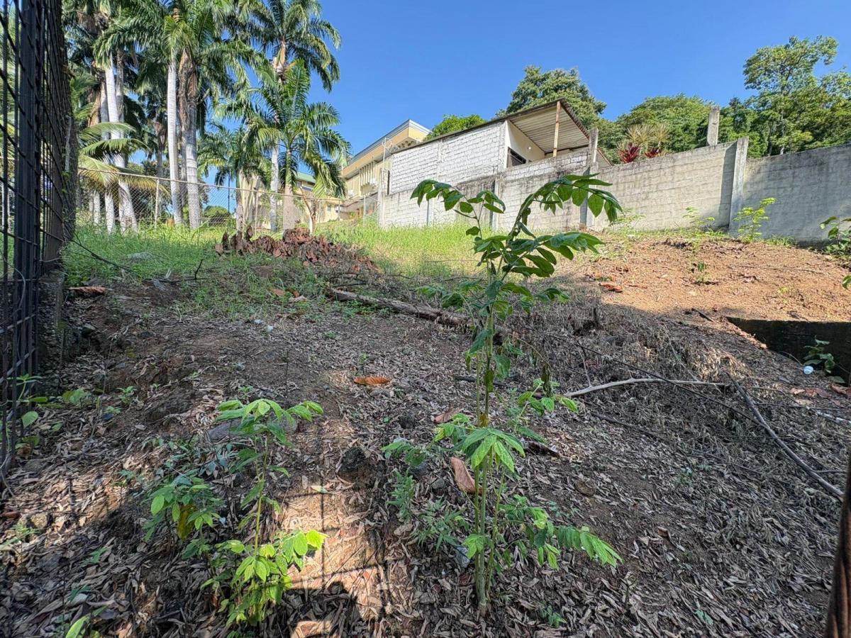 Terreno en Venta Mirador del Norte Solar 3 Wyr, Guayas — imagen 10